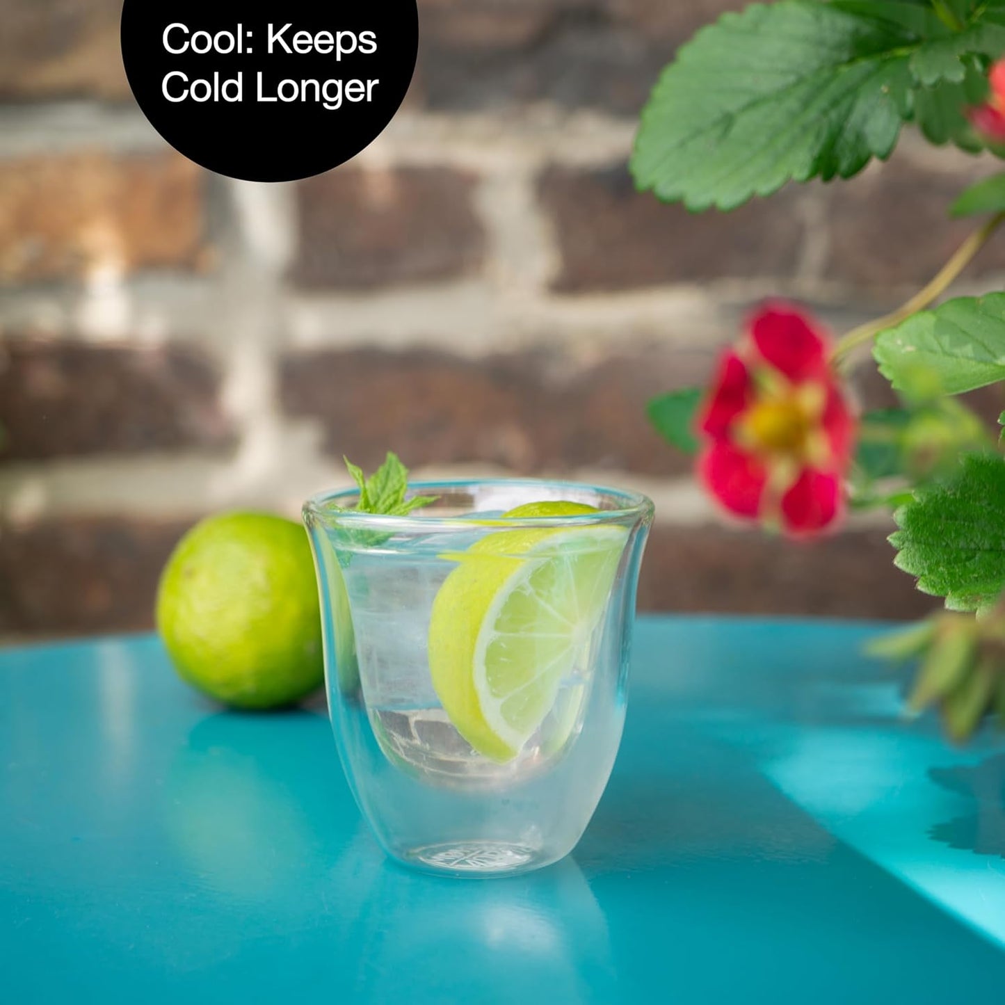 Double Wall Espresso Cups 2.5oz Set of 6 – Insulated Glass Mugs