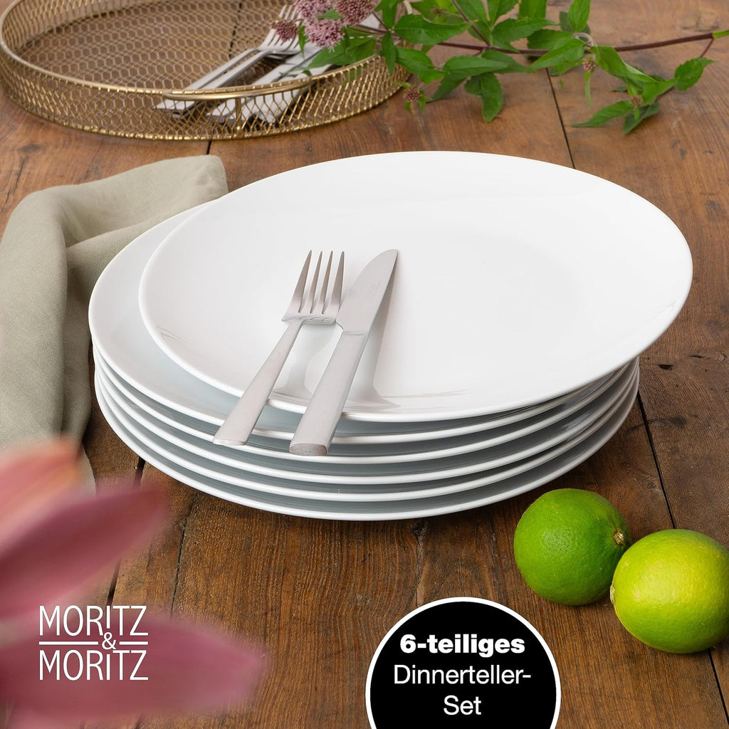 6-Piece White Porcelain Dinner Plates
