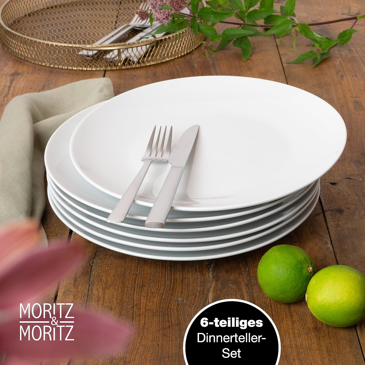 6-Piece White Porcelain Dinner Plates