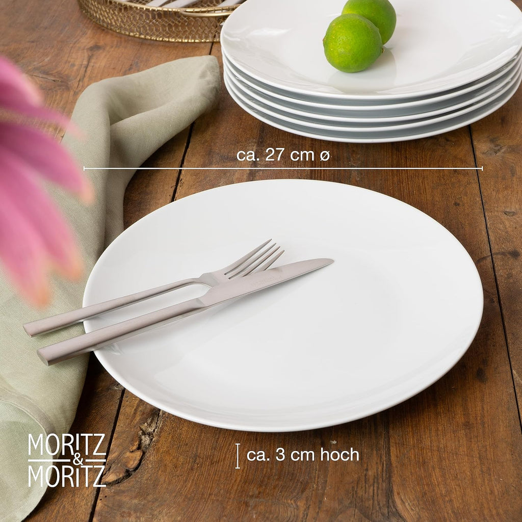 6-Piece White Porcelain Dinner Plates