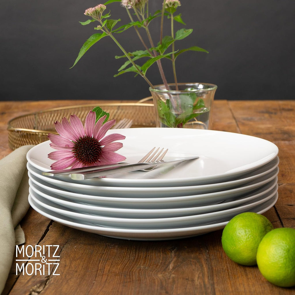 6-Piece White Porcelain Dinner Plates